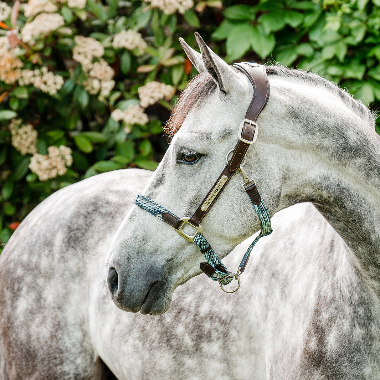 Licol tressé Signature Breakaway Horseware