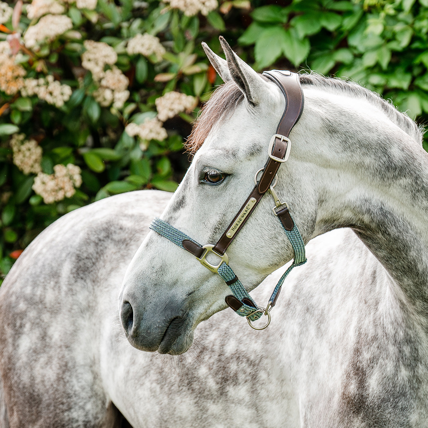 Licol tressé Signature Breakaway Horseware
