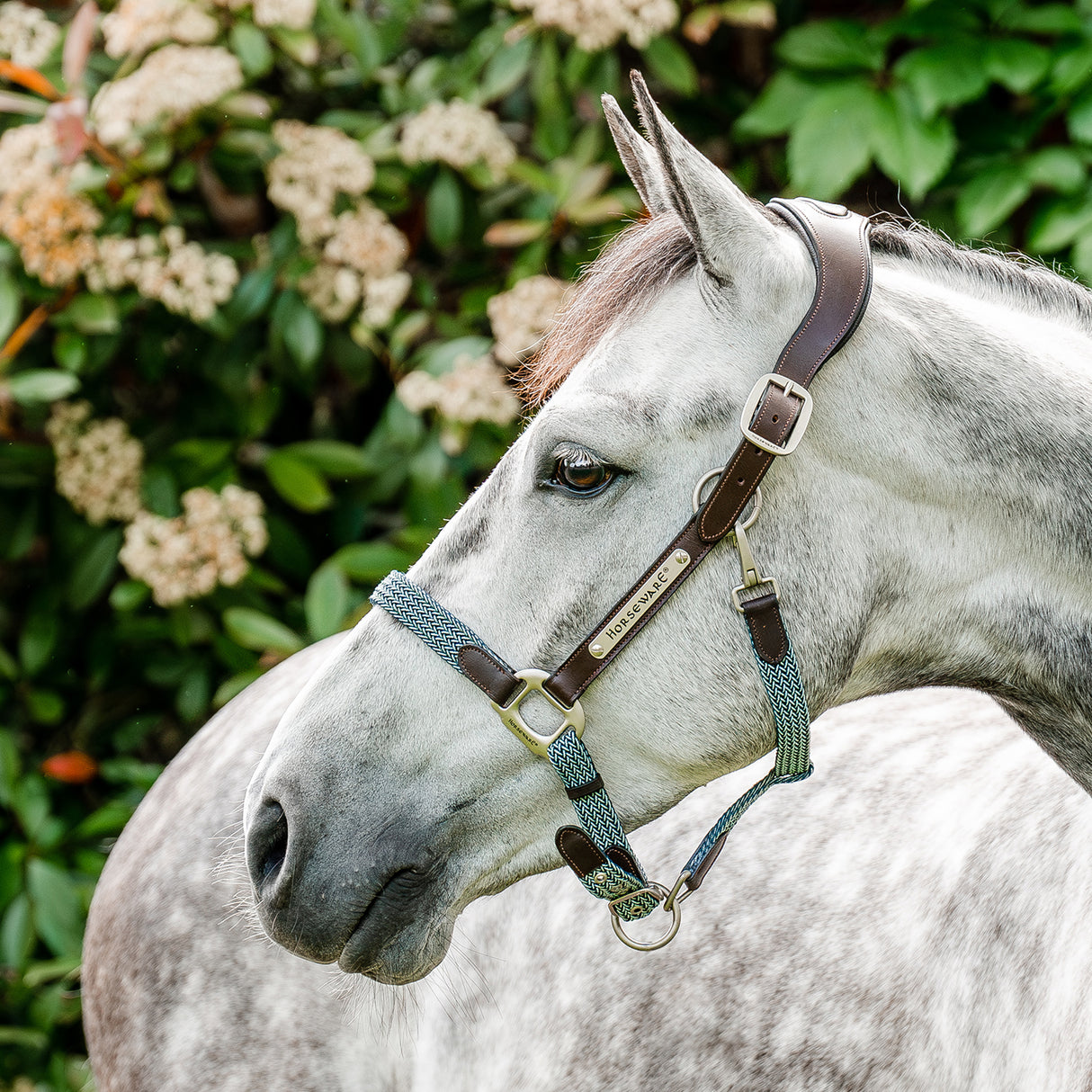 Licol tressé Signature Breakaway Horseware