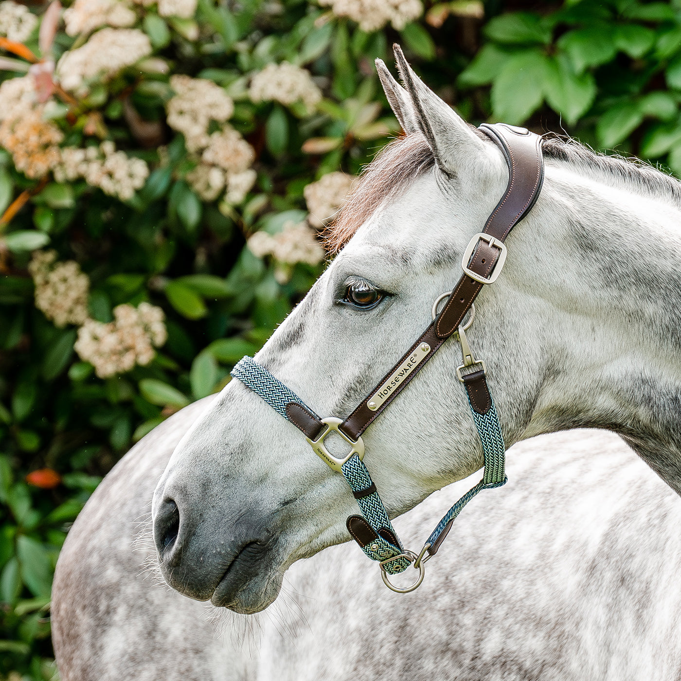 Licol tressé Signature Breakaway Horseware