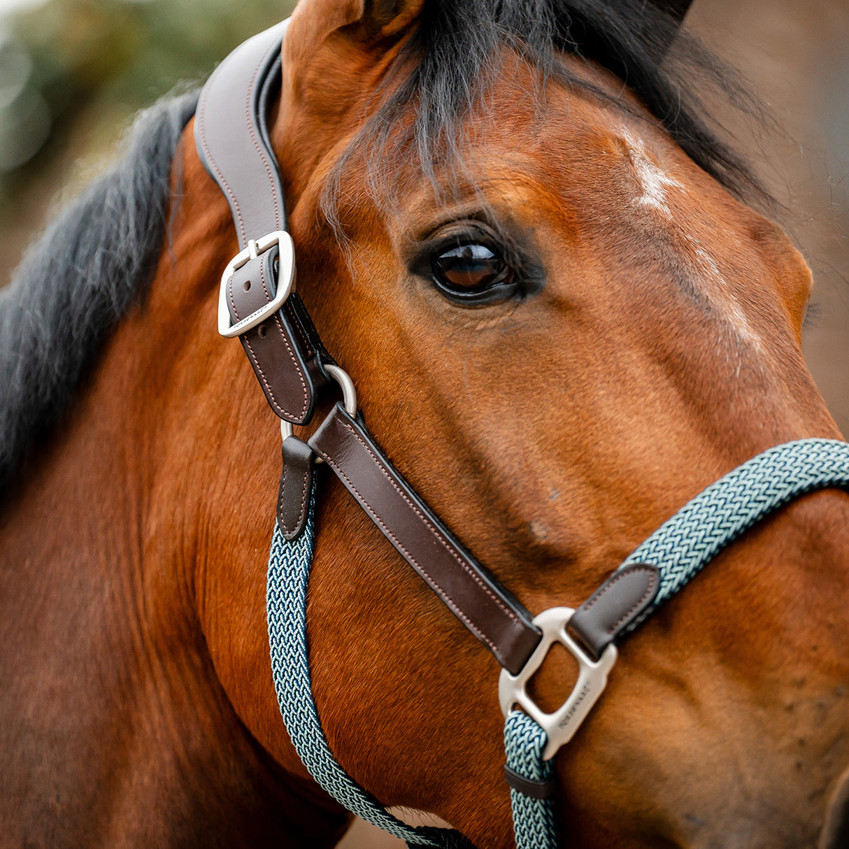 Licol tressé Signature Breakaway Horseware