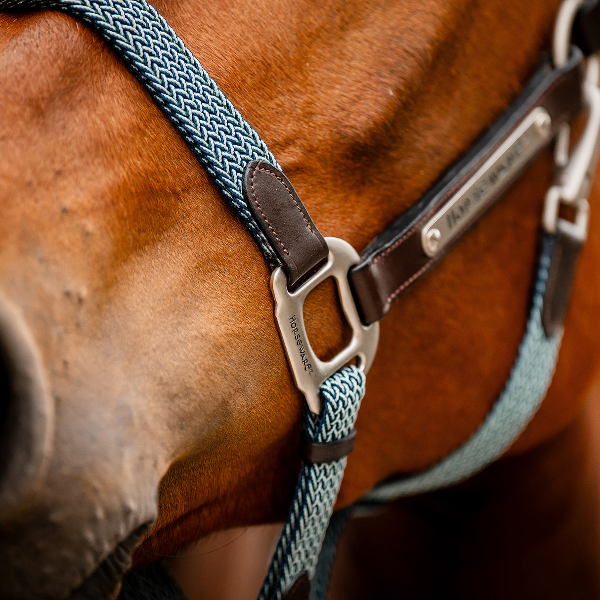 Licol tressé Signature Breakaway Horseware