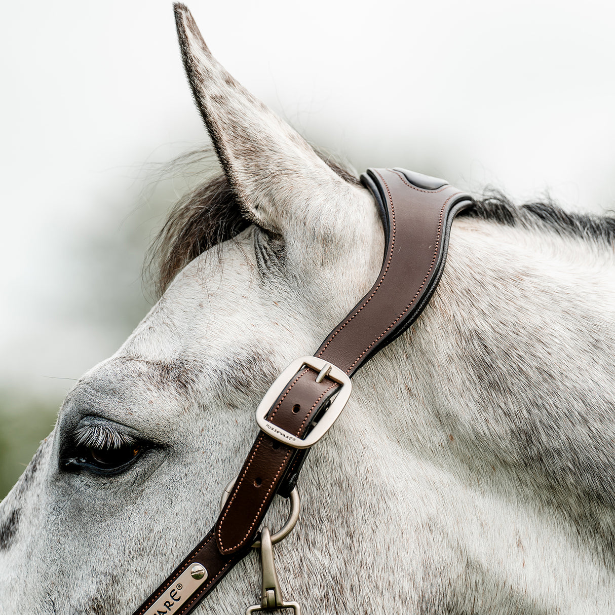Licol tressé Signature Breakaway Horseware
