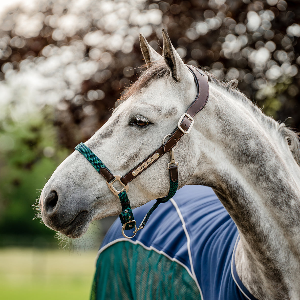 Licol tressé Signature Breakaway Horseware