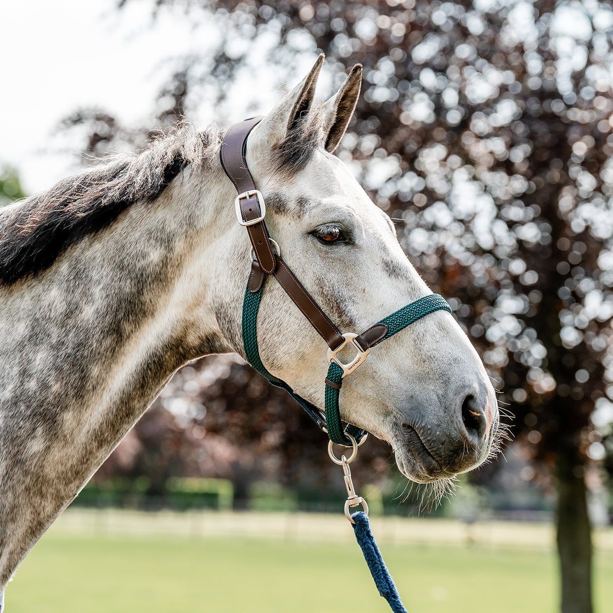Licol tressé Signature Breakaway Horseware