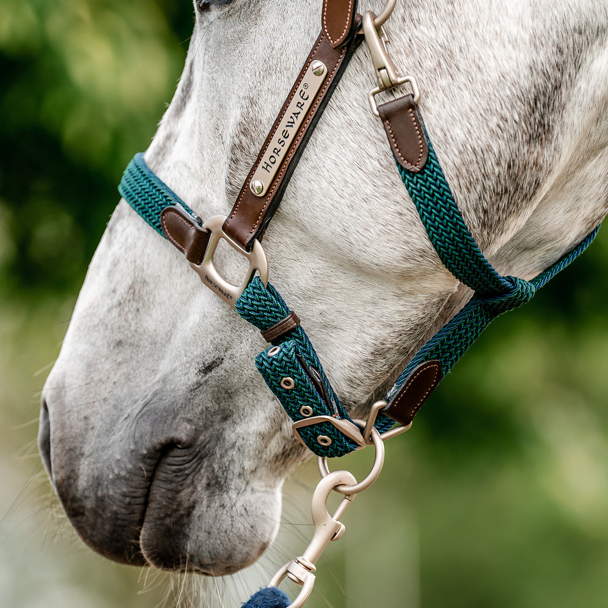 Licol tressé Signature Breakaway Horseware