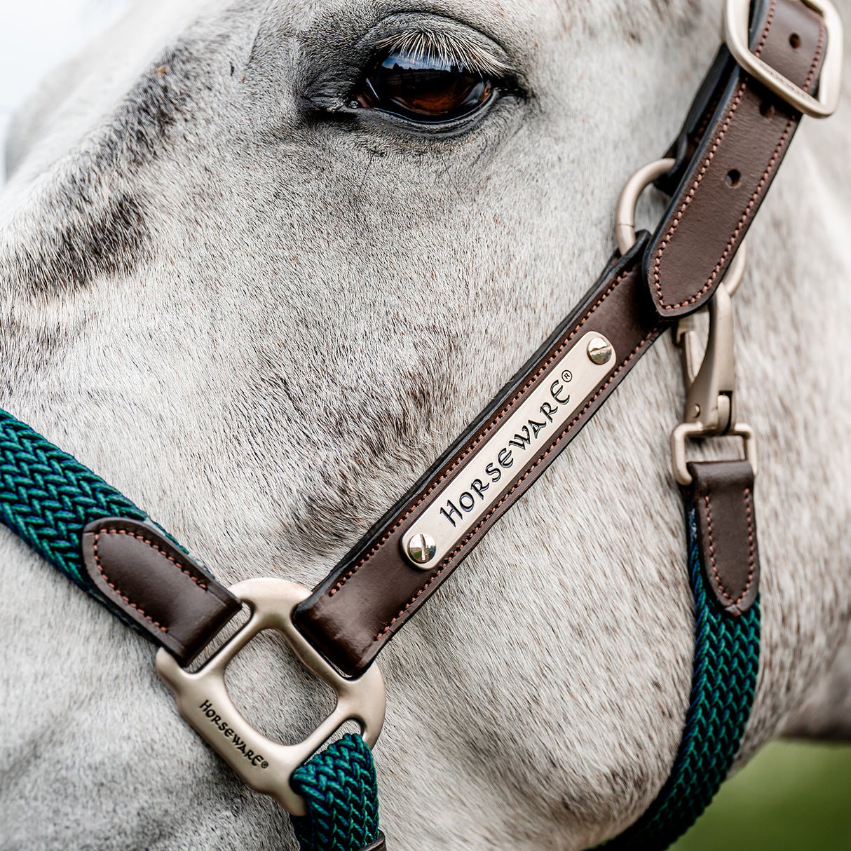 Licol tressé Signature Breakaway Horseware
