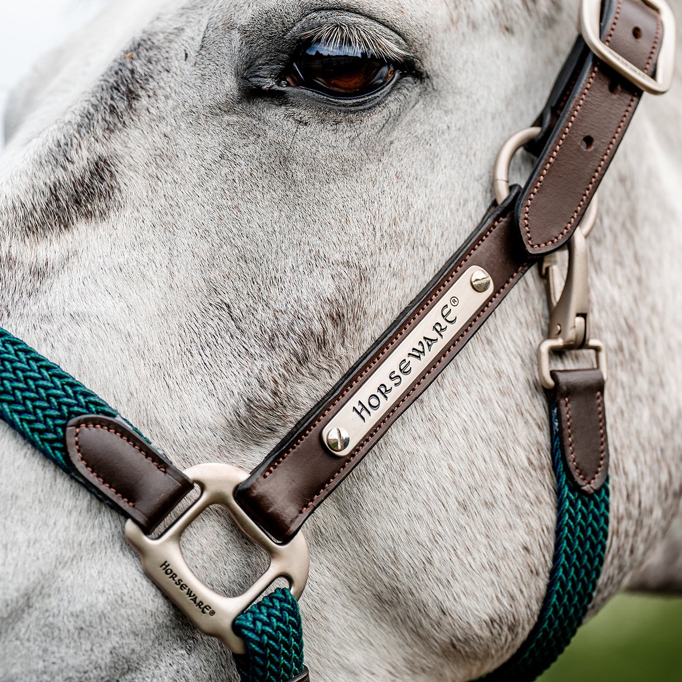 Licol tressé Signature Breakaway Horseware
