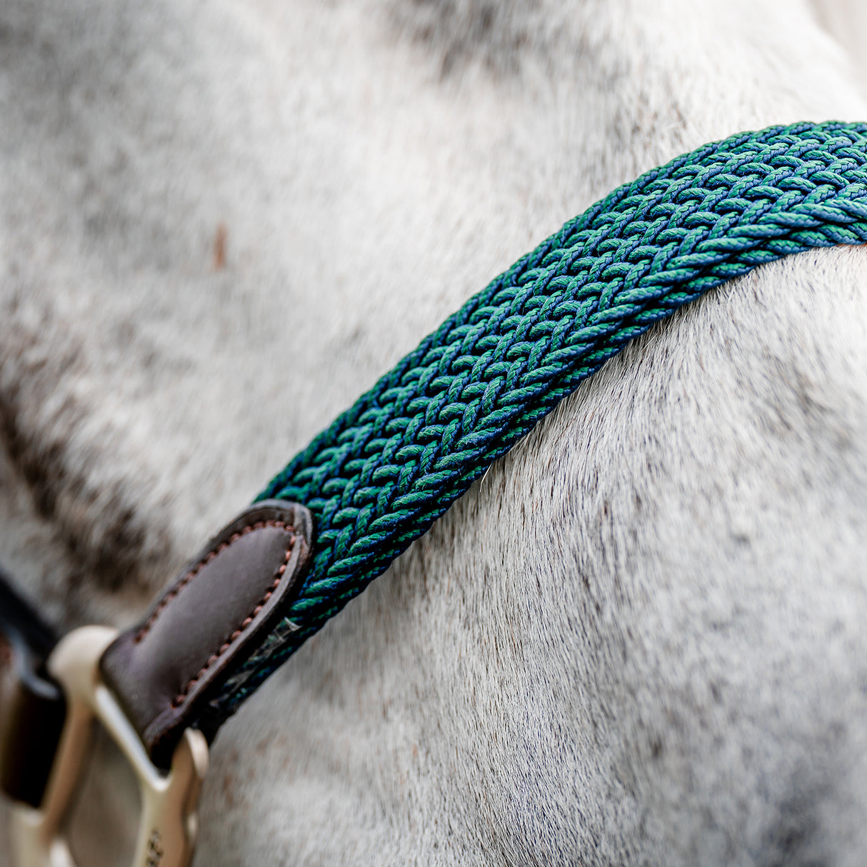 Licol tressé Signature Breakaway Horseware