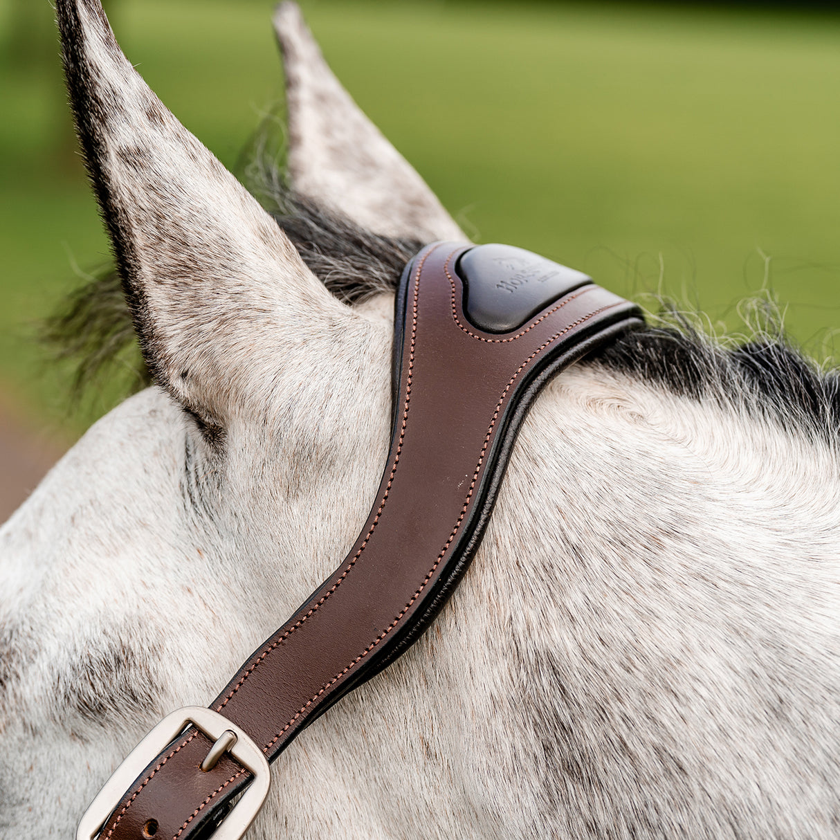 Licol tressé Signature Breakaway Horseware