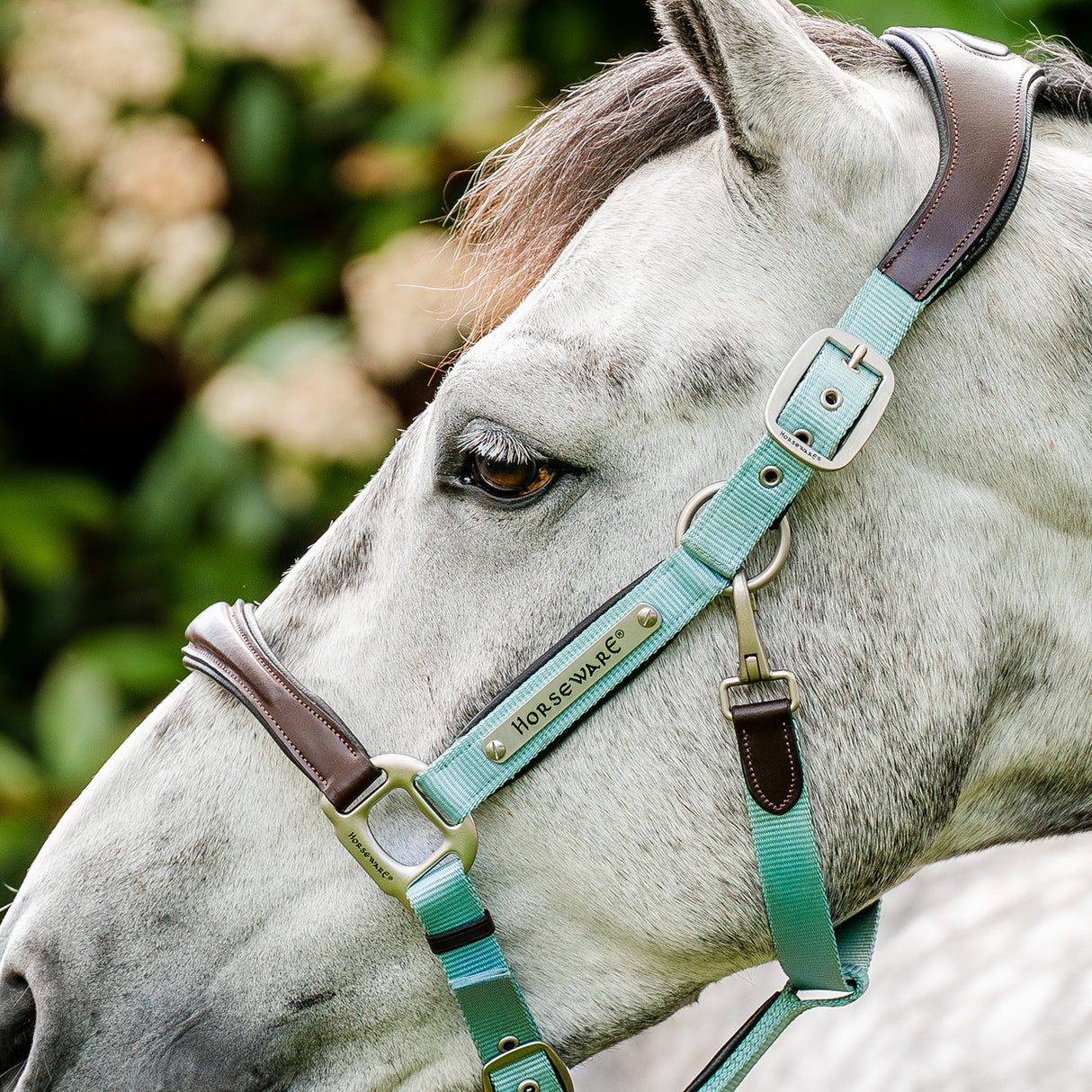 Licol de compétition Horseware Signature