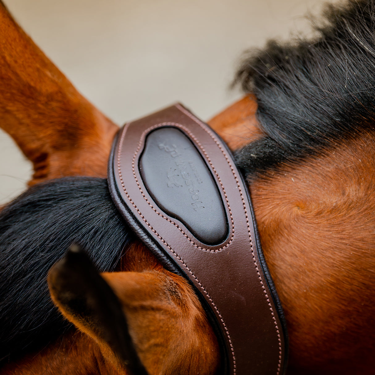 Licol de compétition Horseware Signature