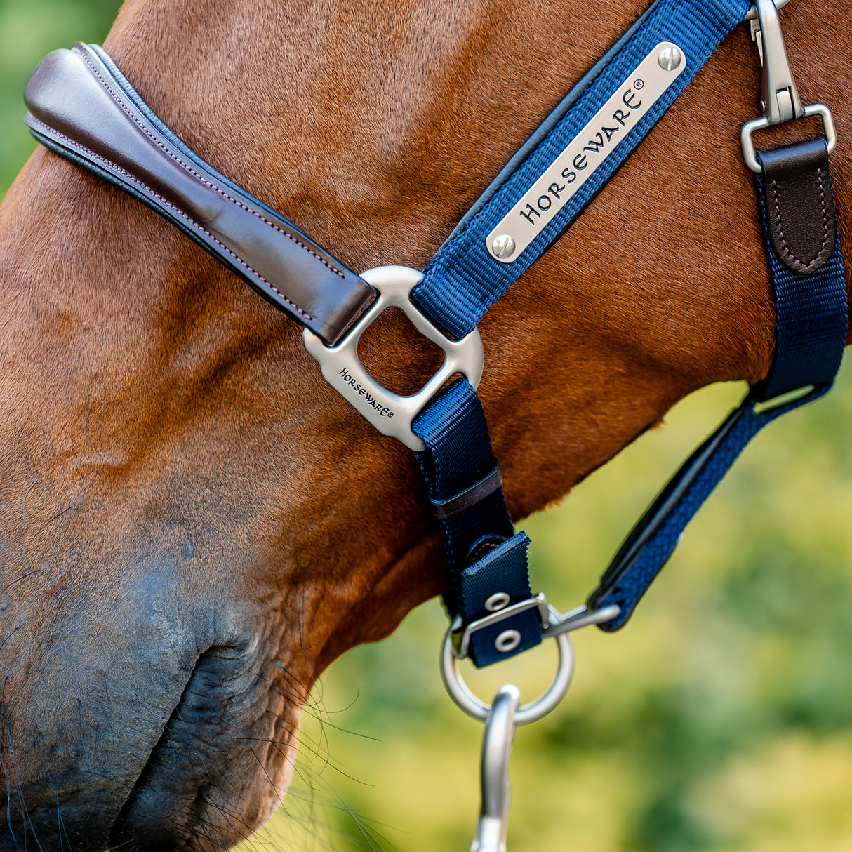 Licol de compétition Horseware Signature
