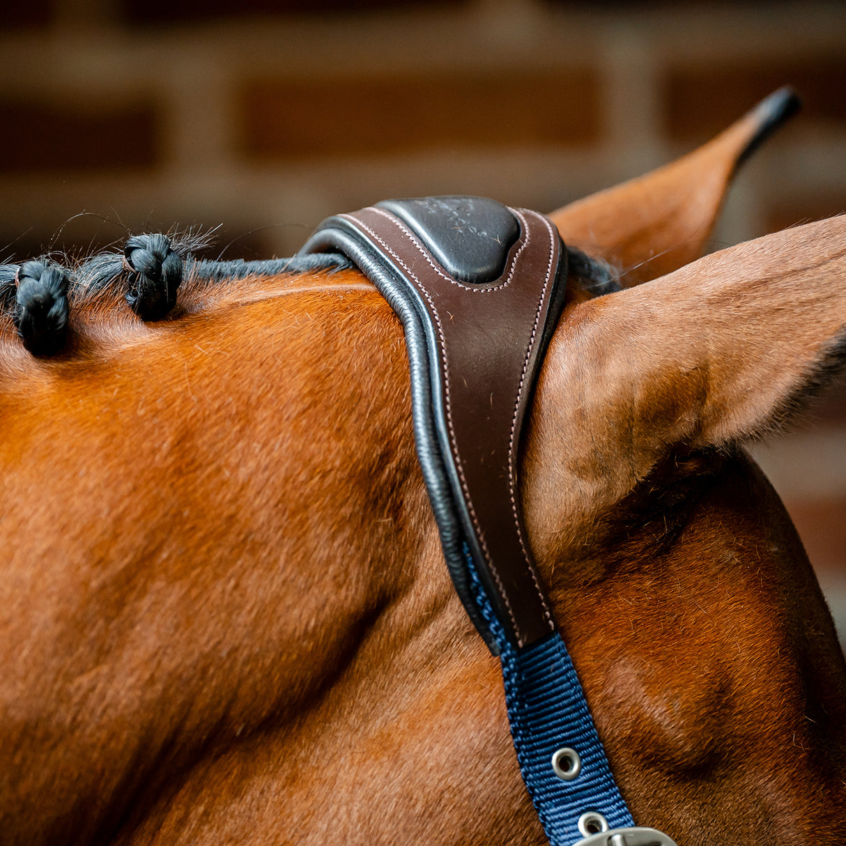 Licol de compétition Horseware Signature