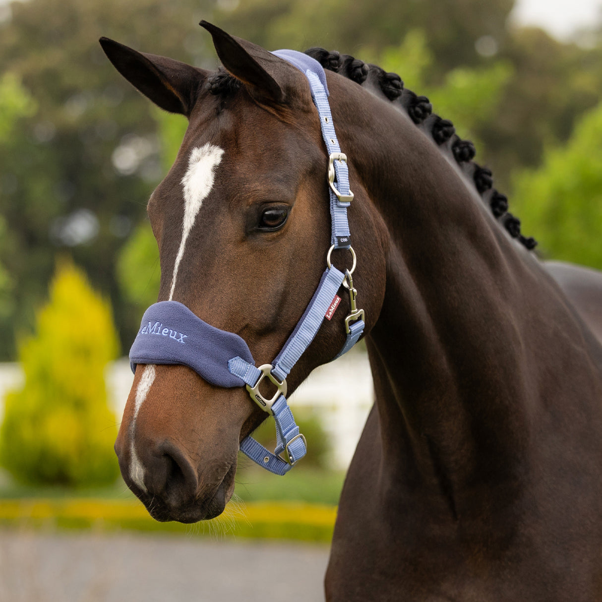 LeMieux Vogue Halter & Lead Rope