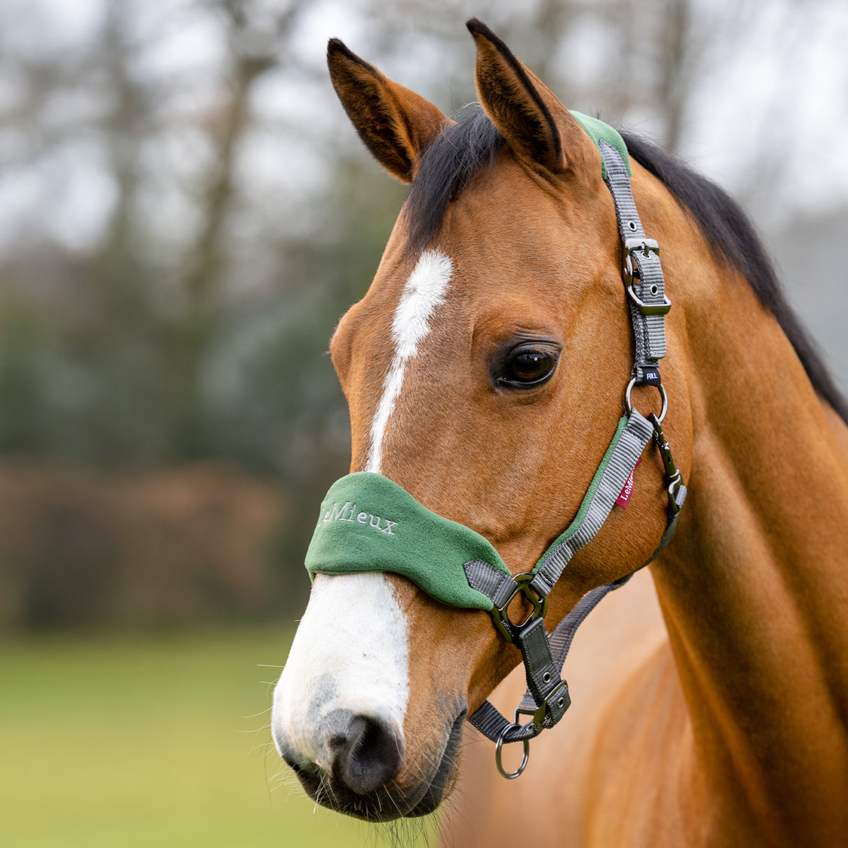 LeMieux Vogue Halter & Lead Rope