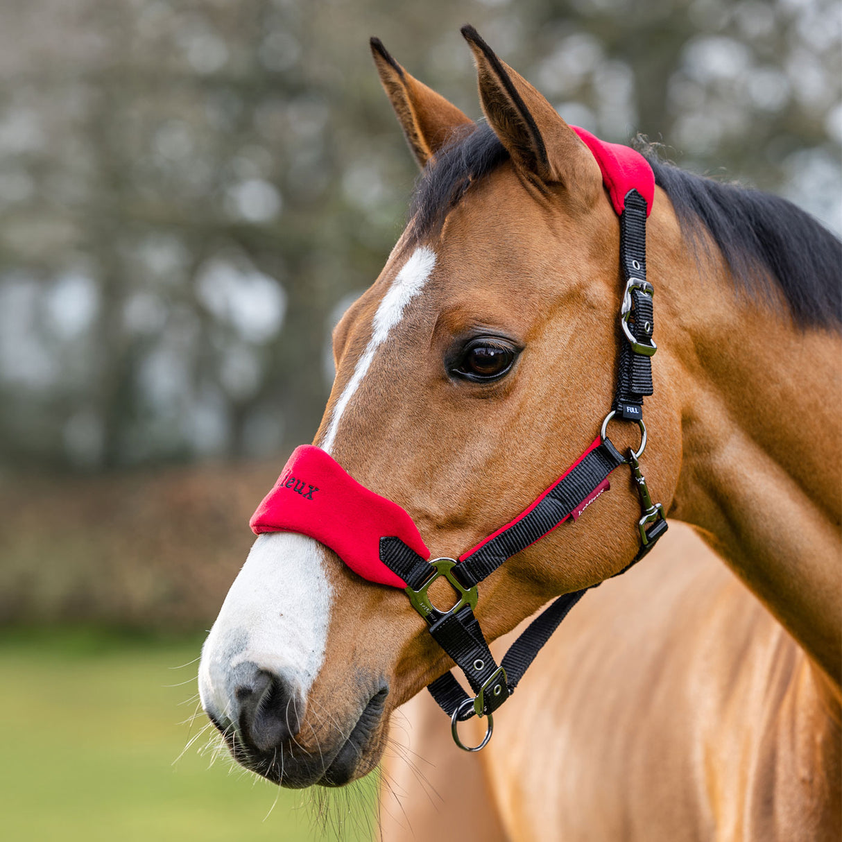 LeMieux Vogue Halter & Lead Rope