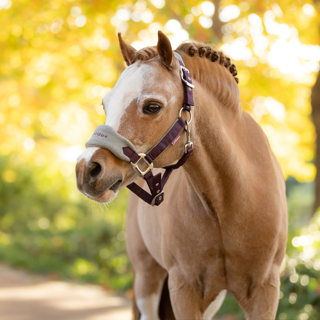 LeMieux Mini Vogue Halter & Lead Rope