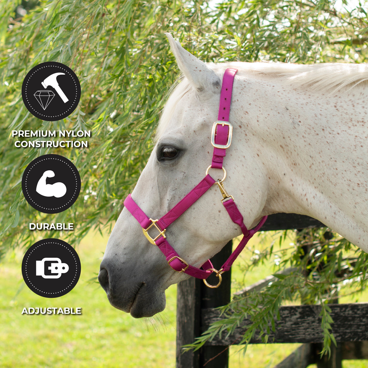 Licol de luxe Shedrow