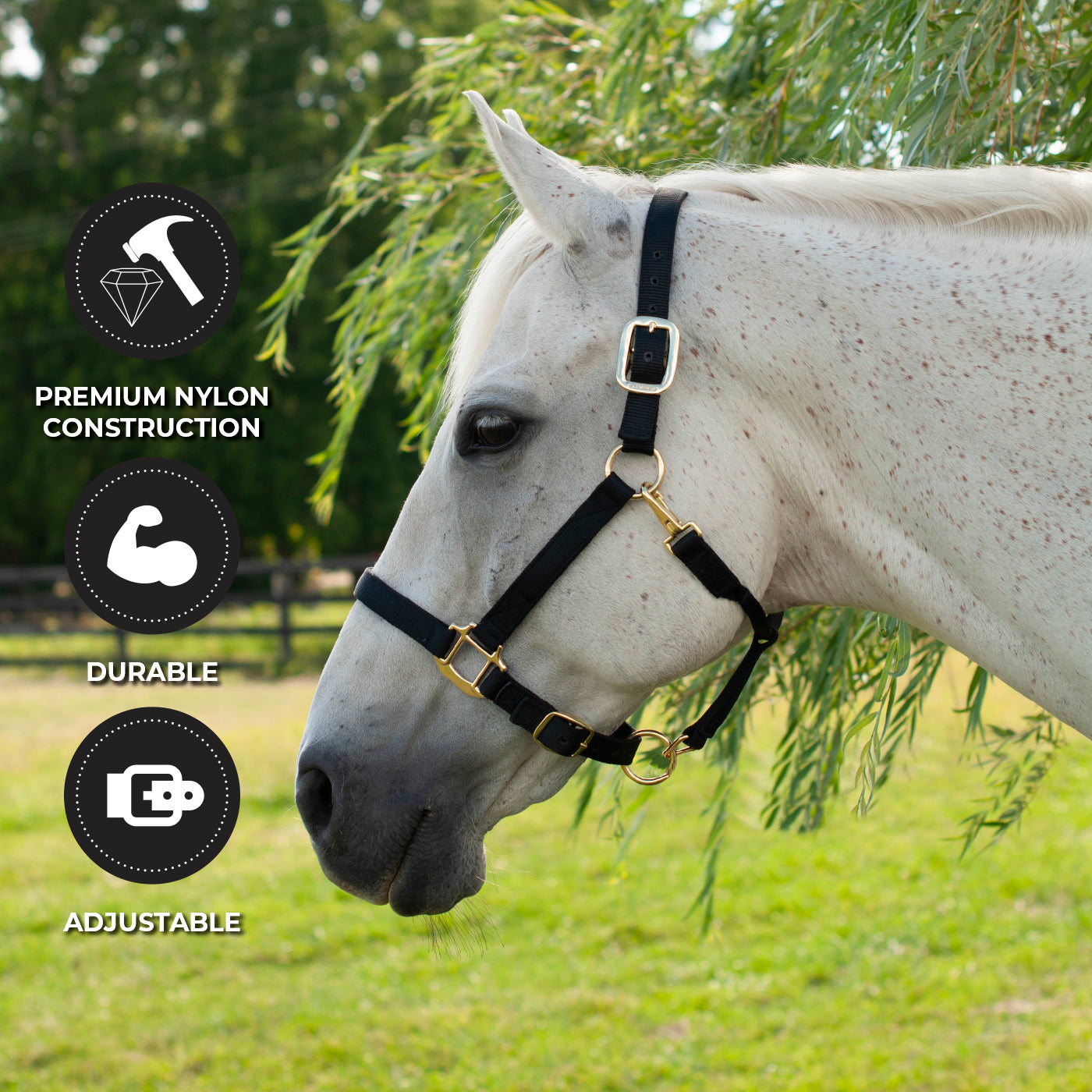 Licol de luxe Shedrow