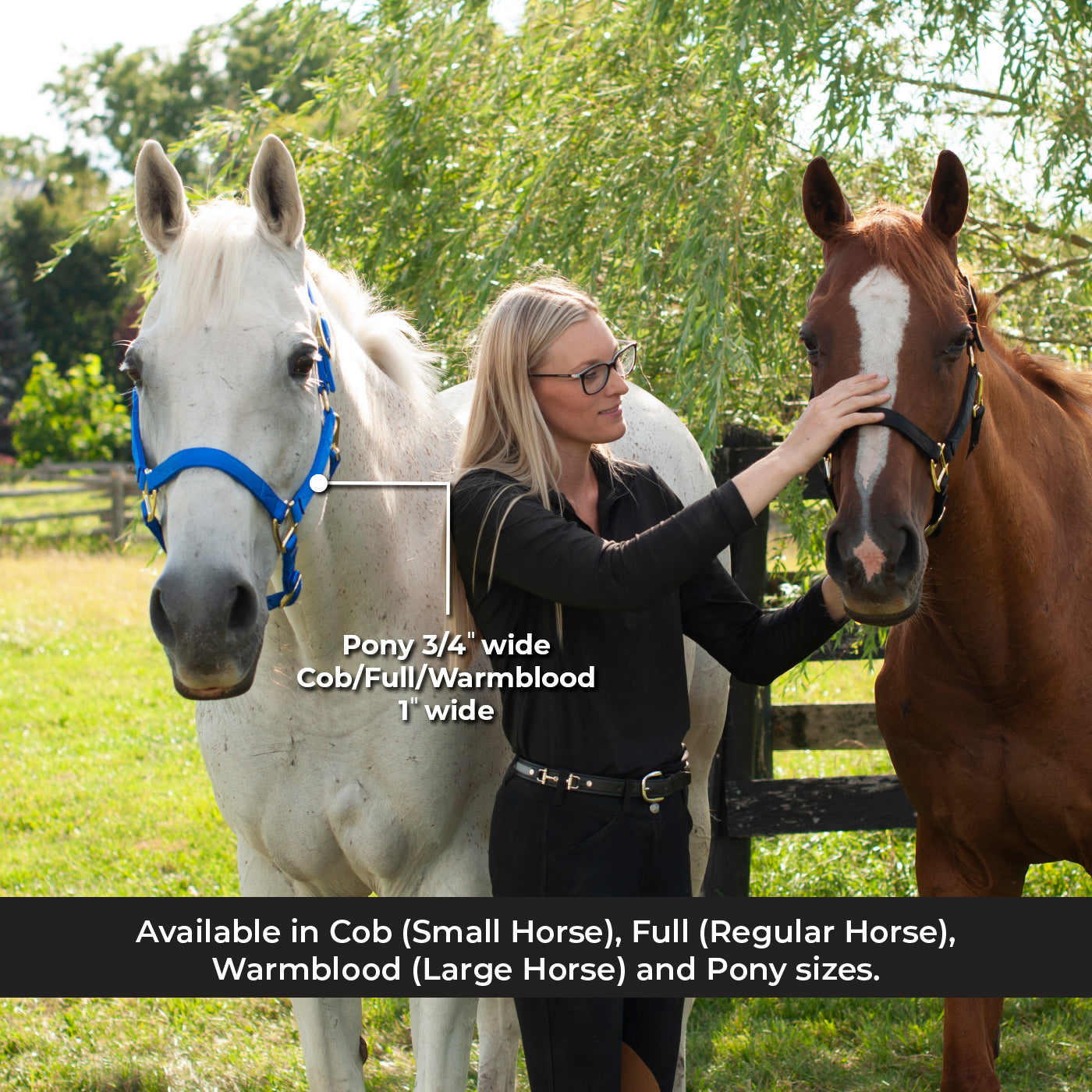 Licol de luxe Shedrow