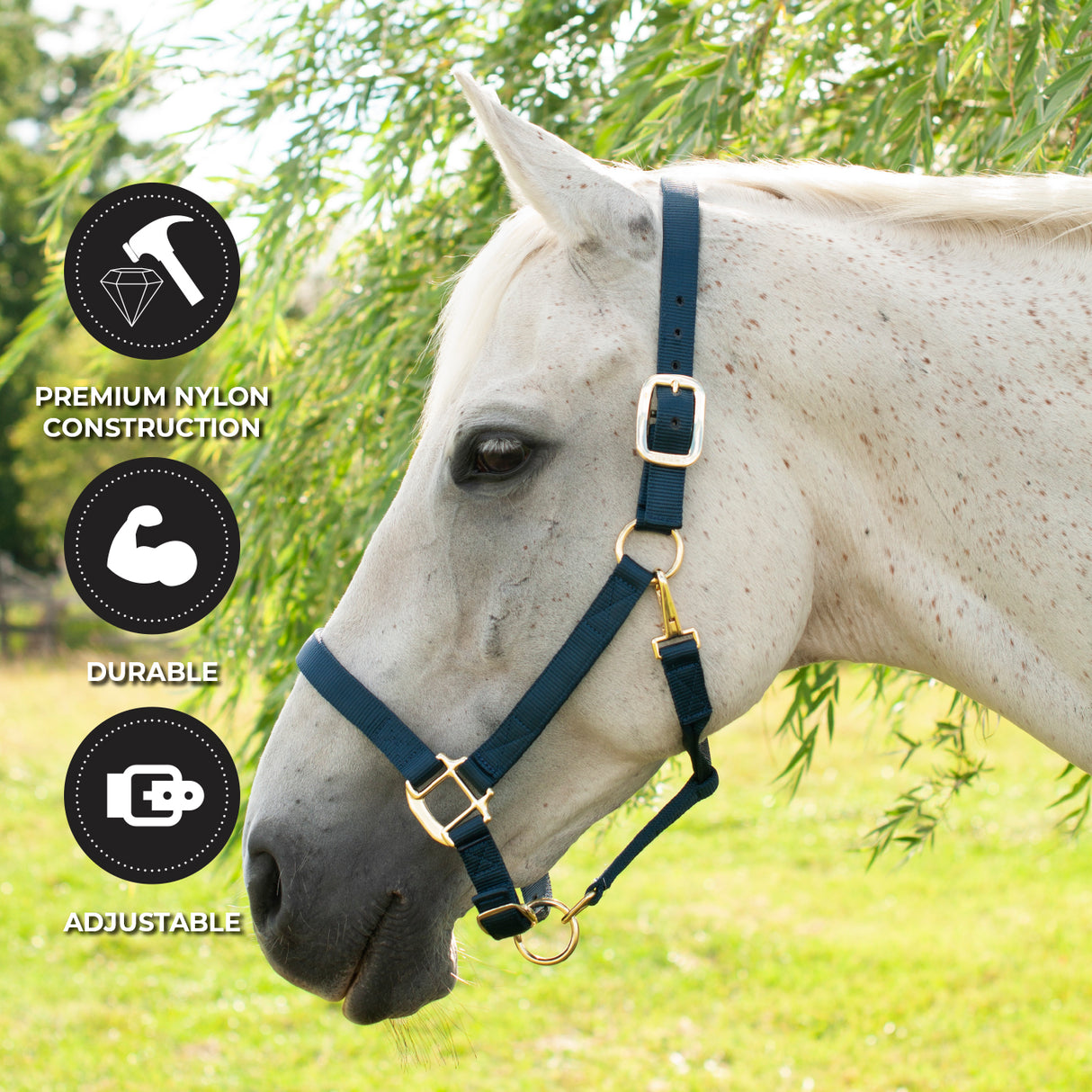 Licol de luxe Shedrow