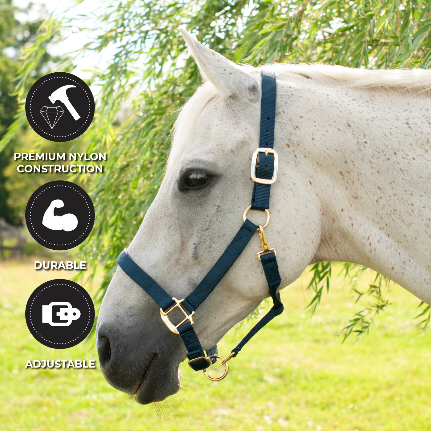 Licol de luxe Shedrow