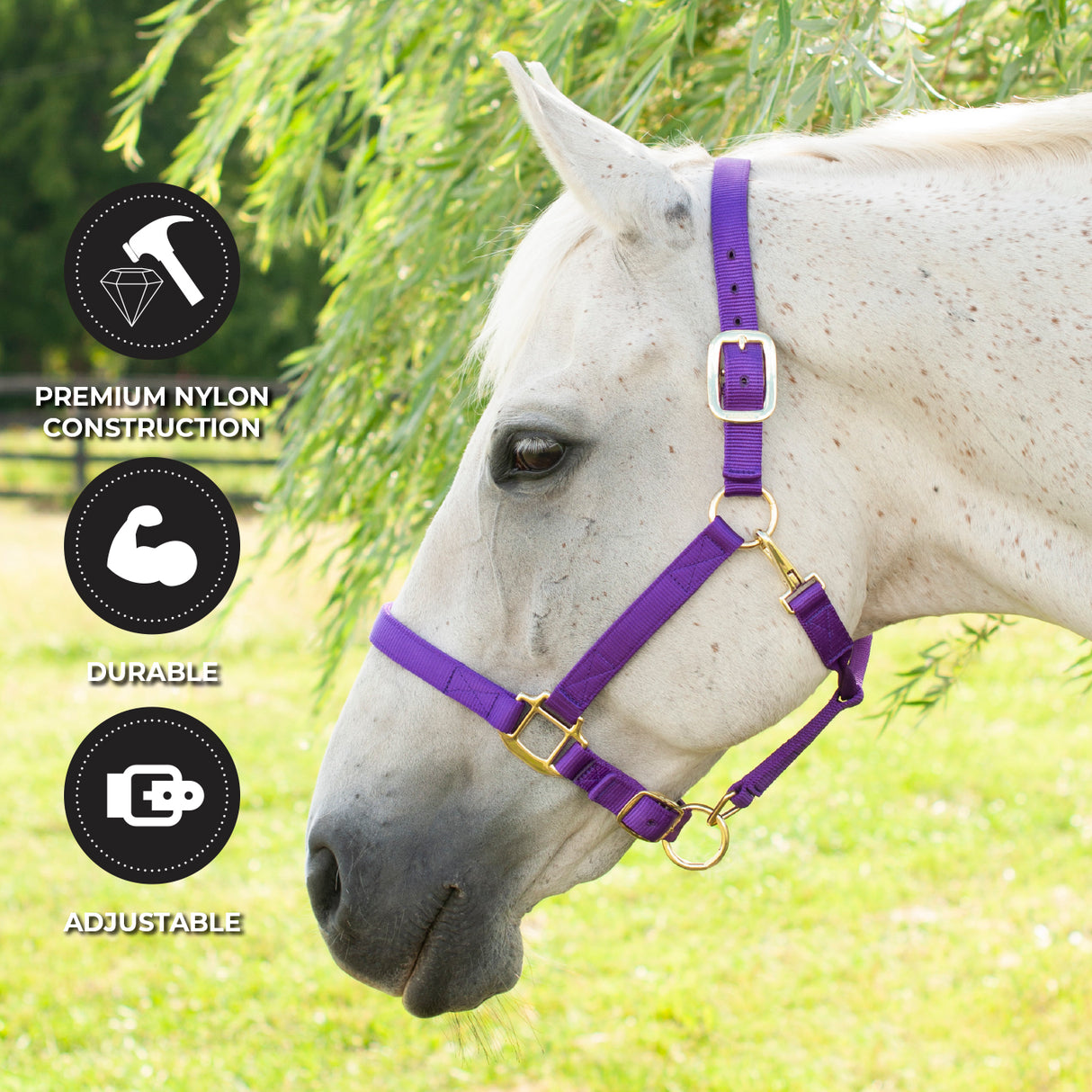 Licol de luxe Shedrow