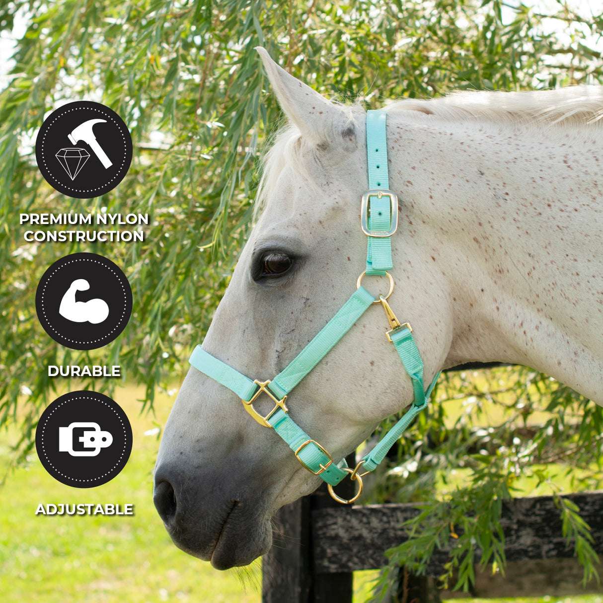 Licol de luxe Shedrow