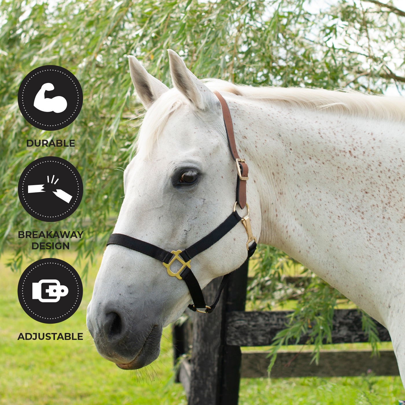 Licol Supra en nylon avec couronne en cuir