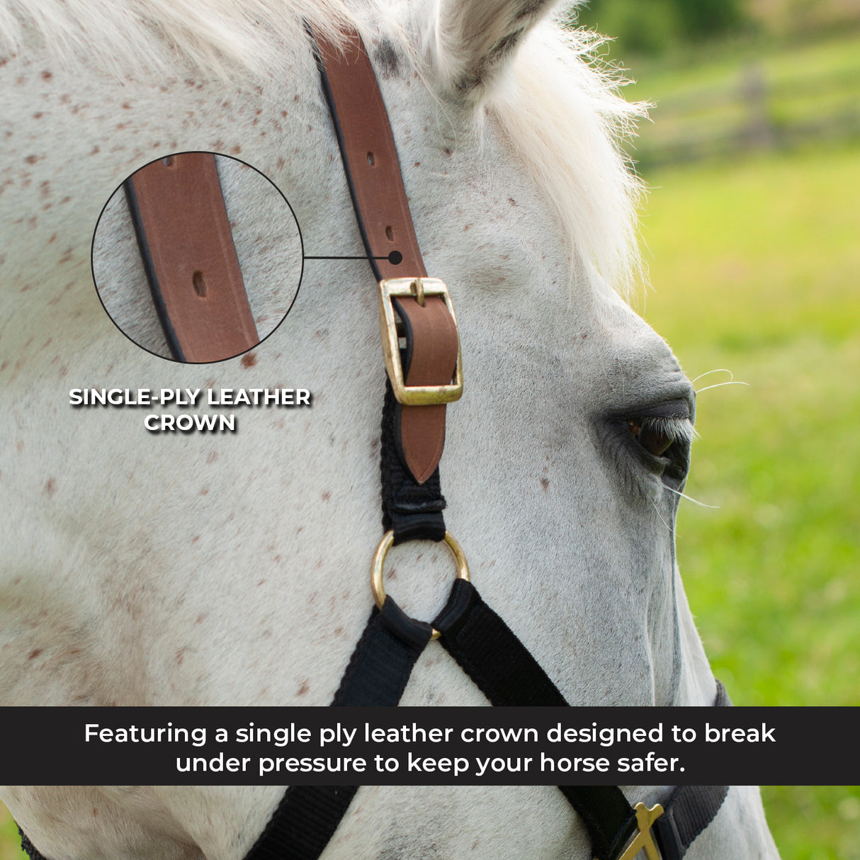 Licol Supra en nylon avec couronne en cuir