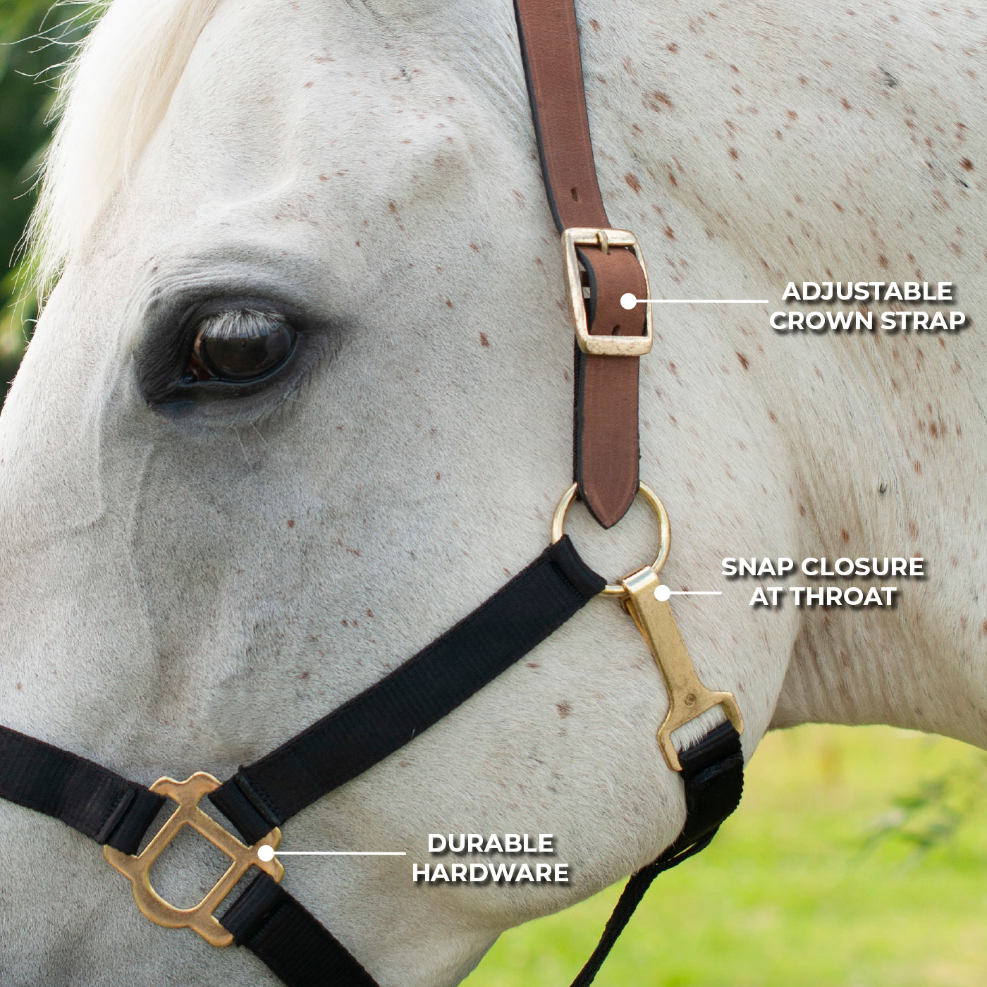 Licol Supra en nylon avec couronne en cuir