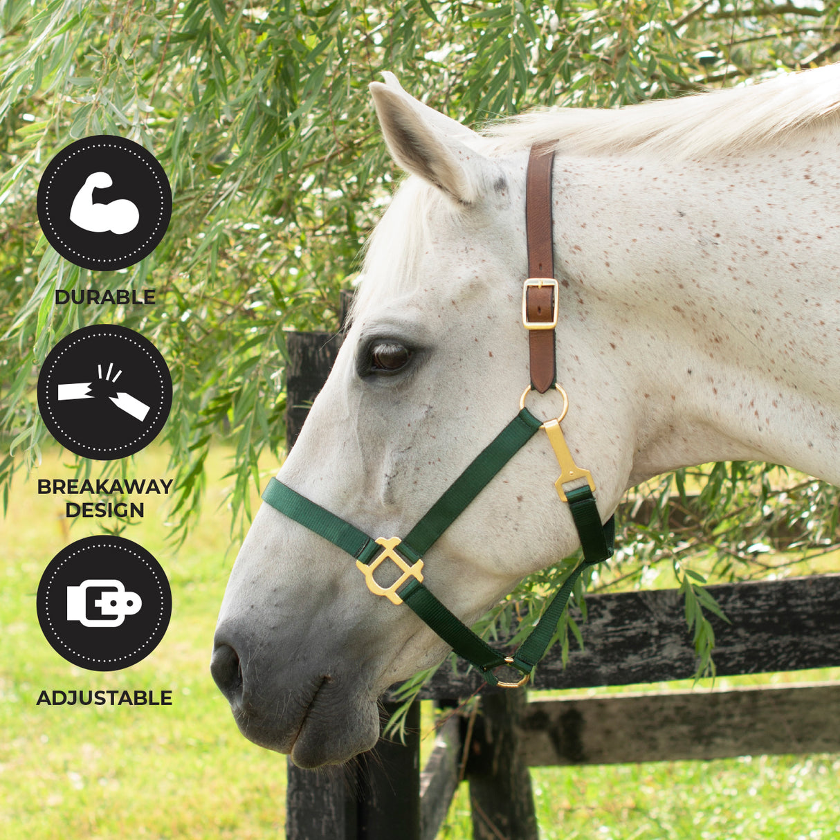 Licol Supra en nylon avec couronne en cuir