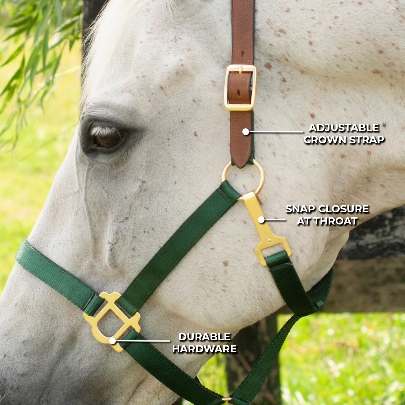 Licol Supra en nylon avec couronne en cuir