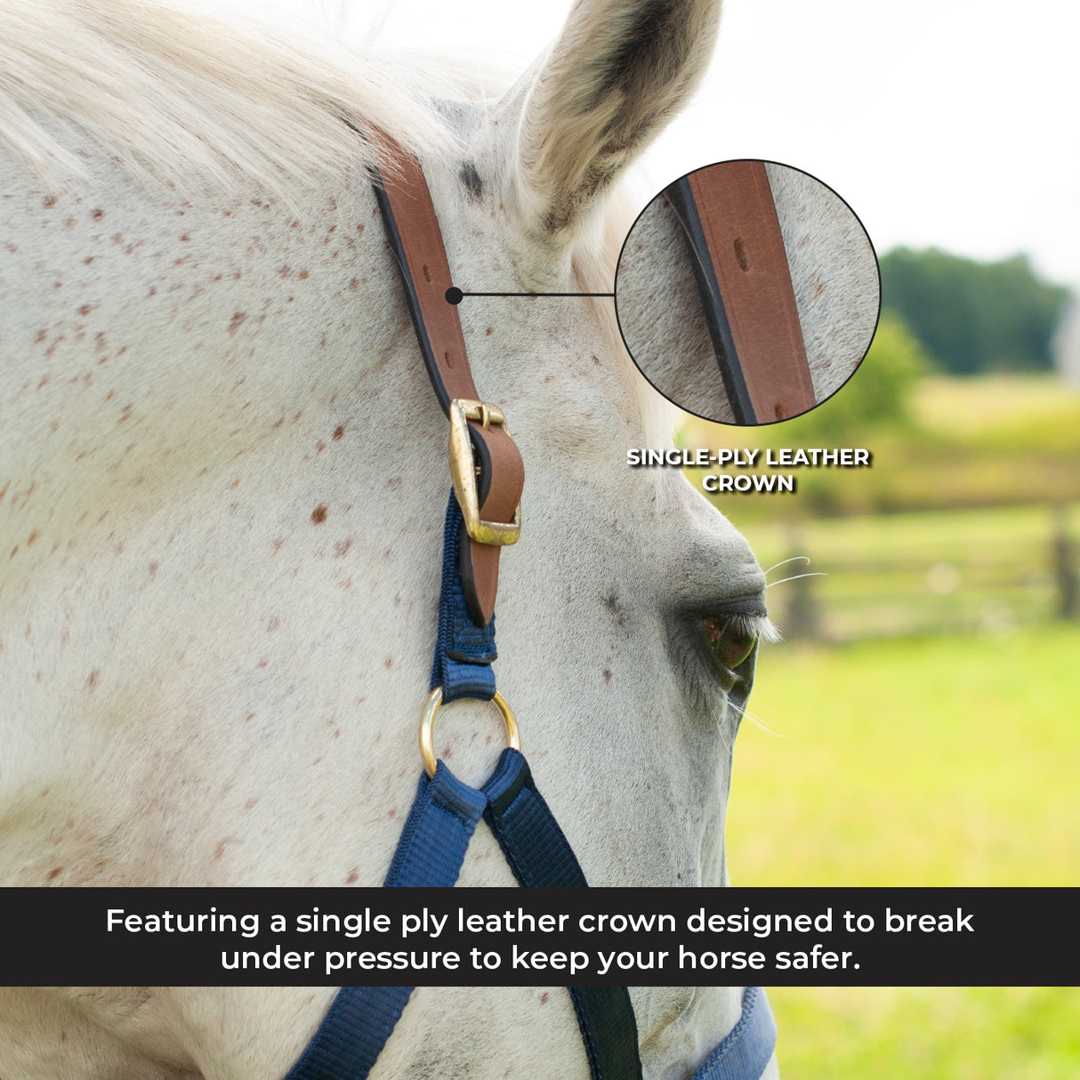 Licol Supra en nylon avec couronne en cuir