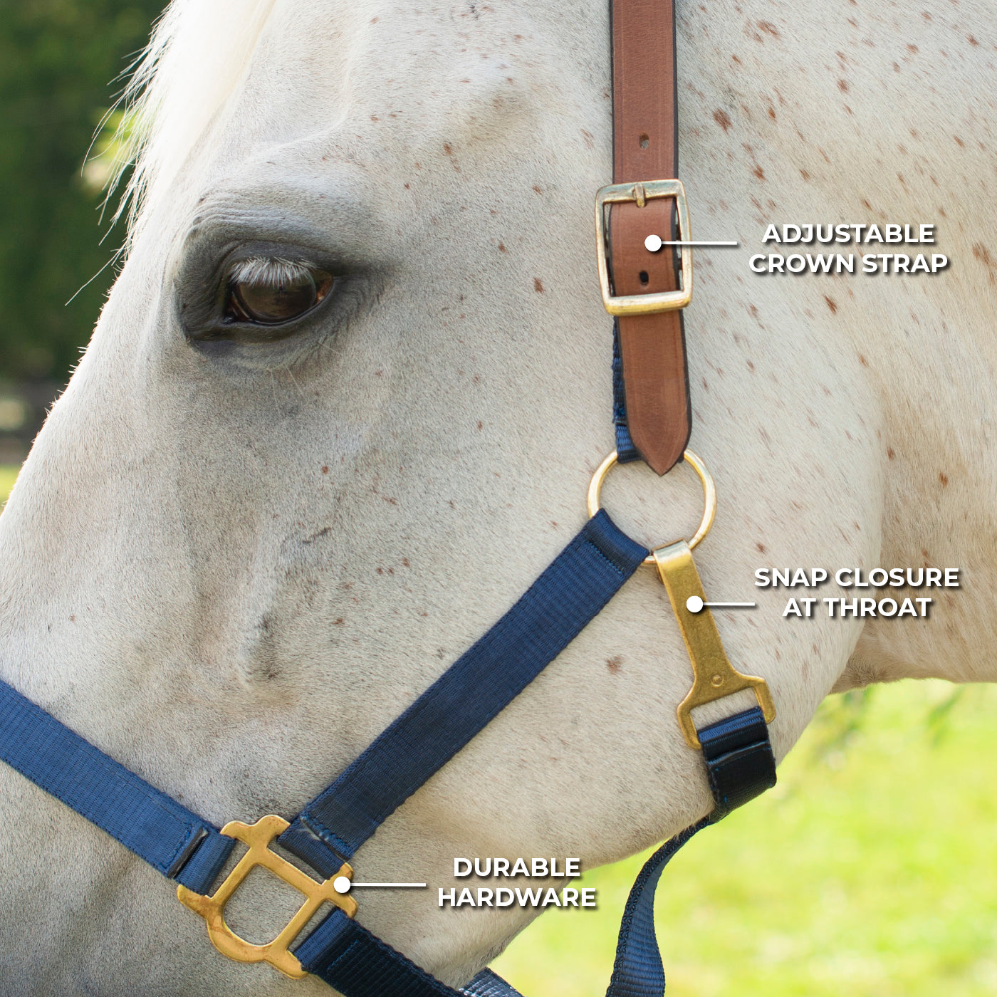 Licol Supra en nylon avec couronne en cuir