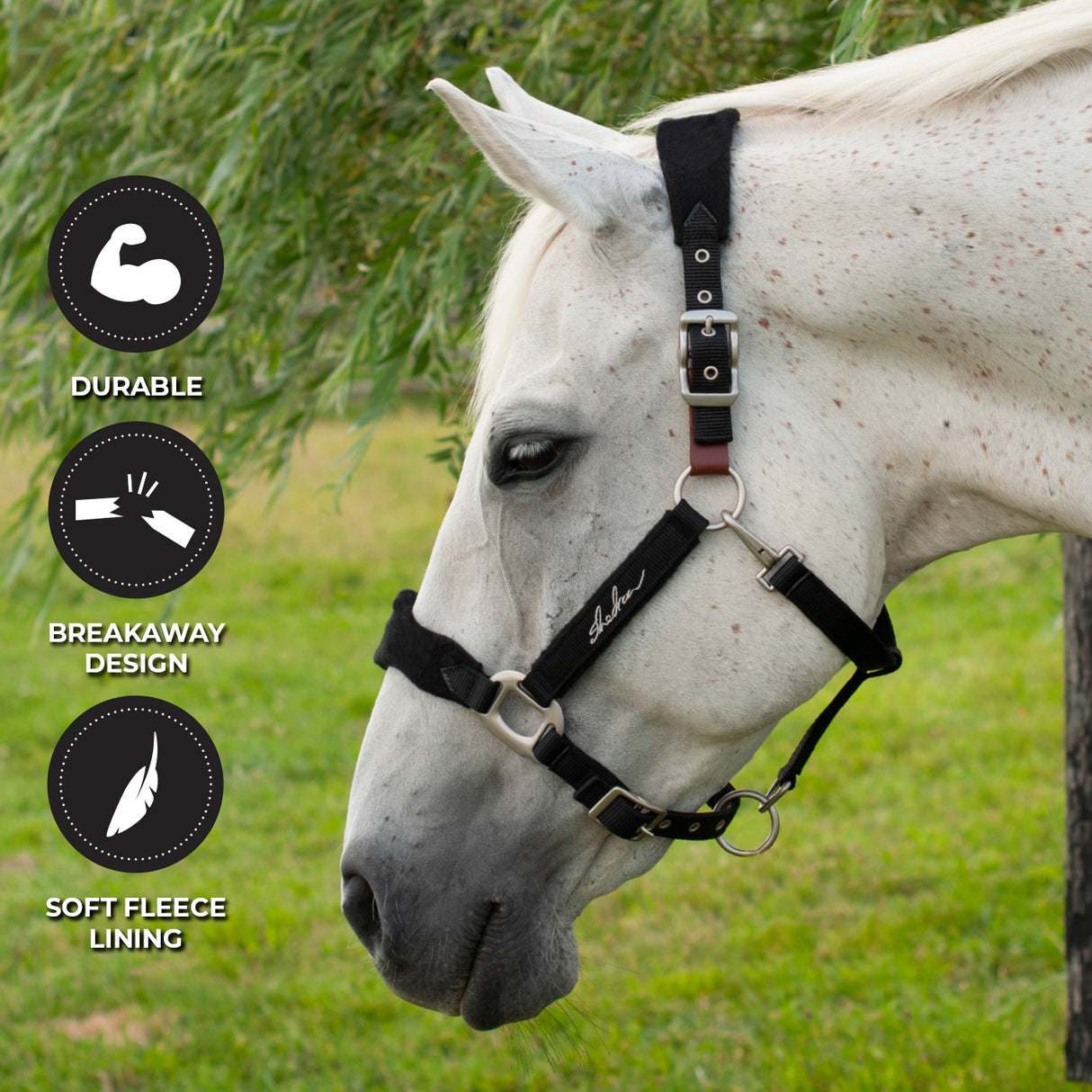 Licol Shedrow Breakaway avec polaire