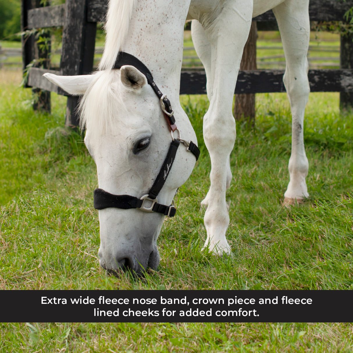 Licol Shedrow Breakaway avec polaire