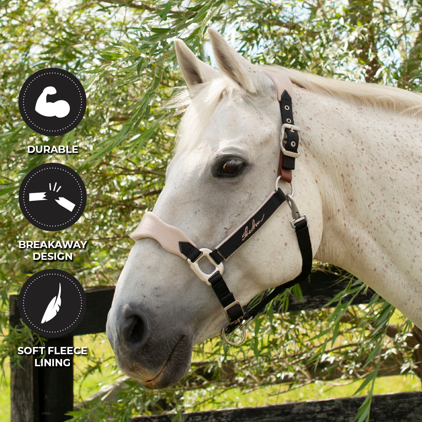 Licol Shedrow Breakaway avec polaire