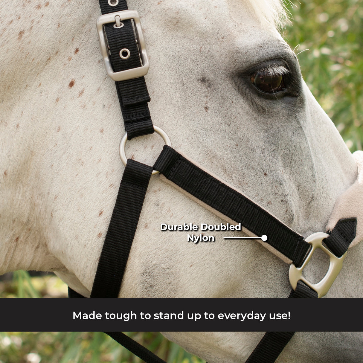 Shedrow Breakaway Halter W/ Fleece