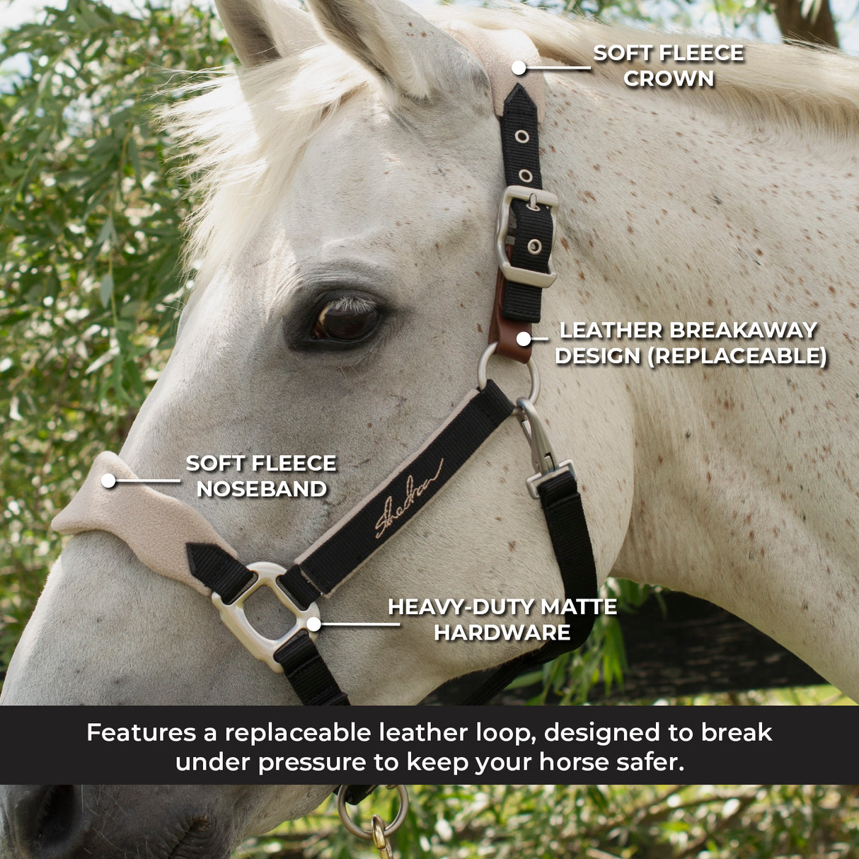 Licol Shedrow Breakaway avec polaire