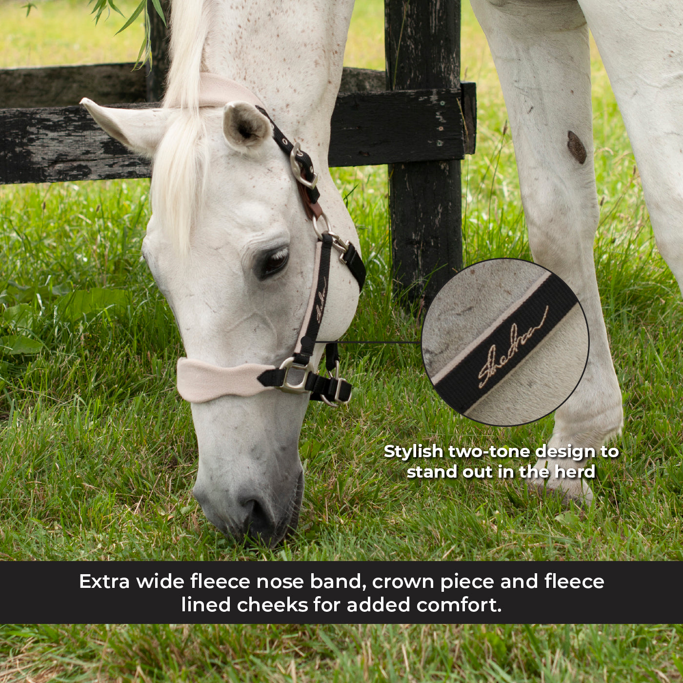 Licol Shedrow Breakaway avec polaire