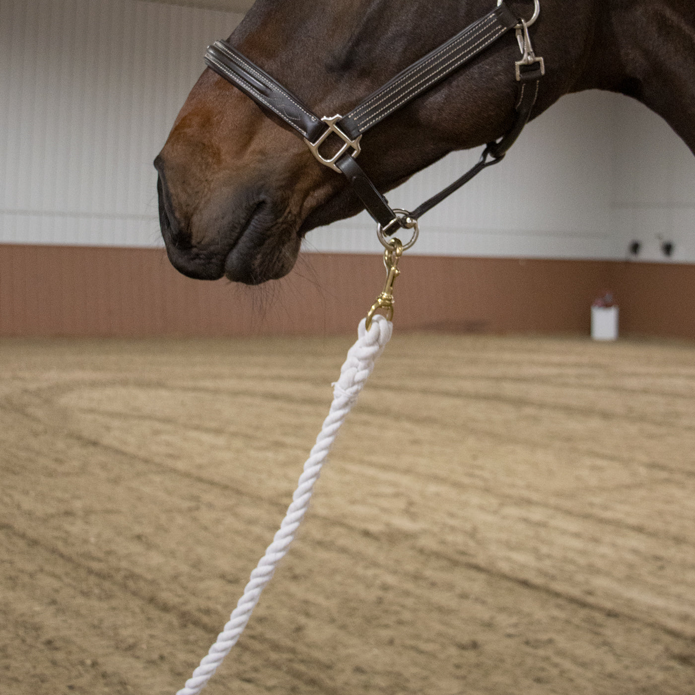 Laisse en coton Shedrow avec bouton-pression en laiton