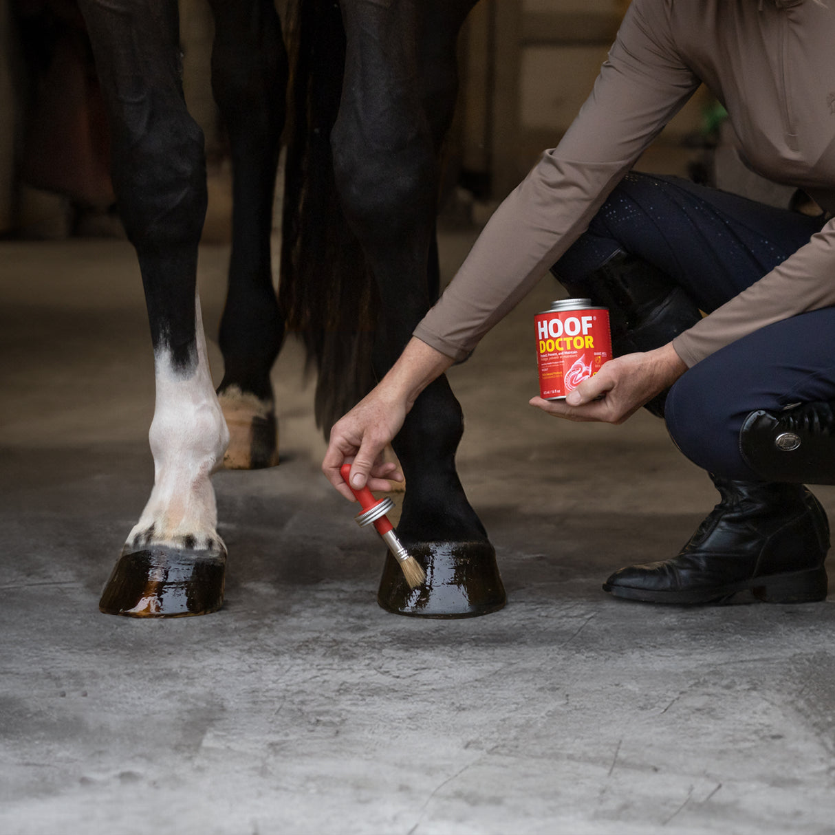 Equine One Hoof Doctor 473 mL