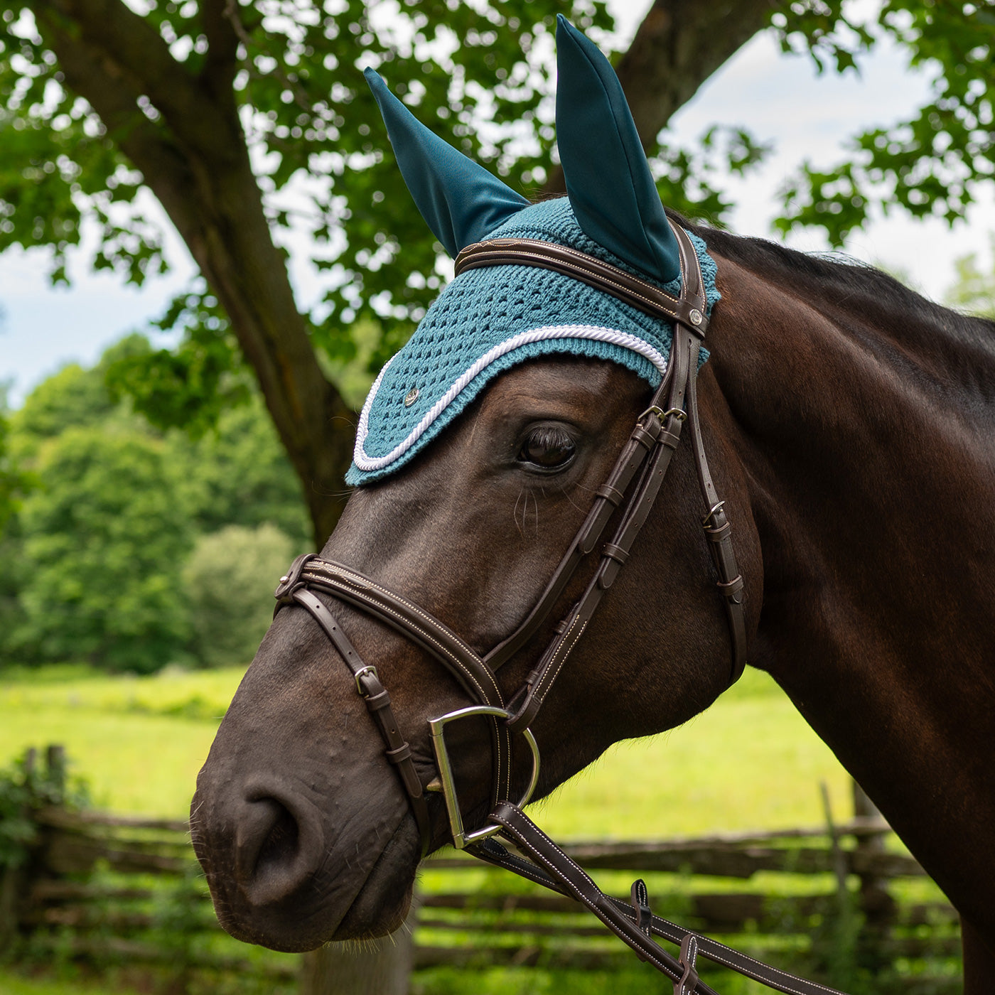 Summit Langdon Fly Veil
