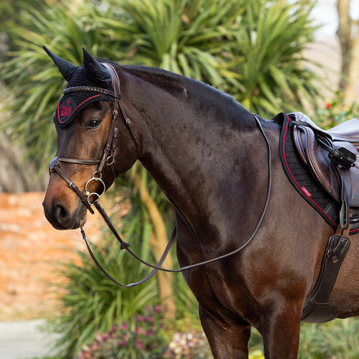 LeMieux iCAN Fly Veil