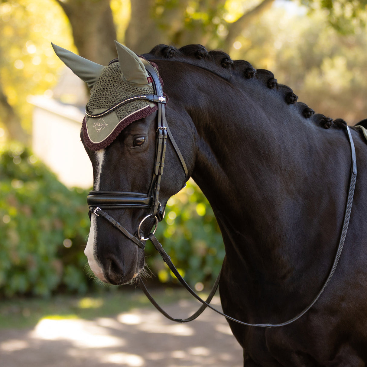 LeMieux Classic Fly Veil