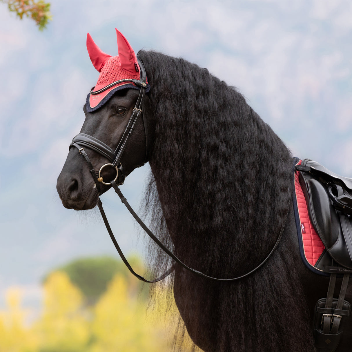 LeMieux Classic Fly Veil