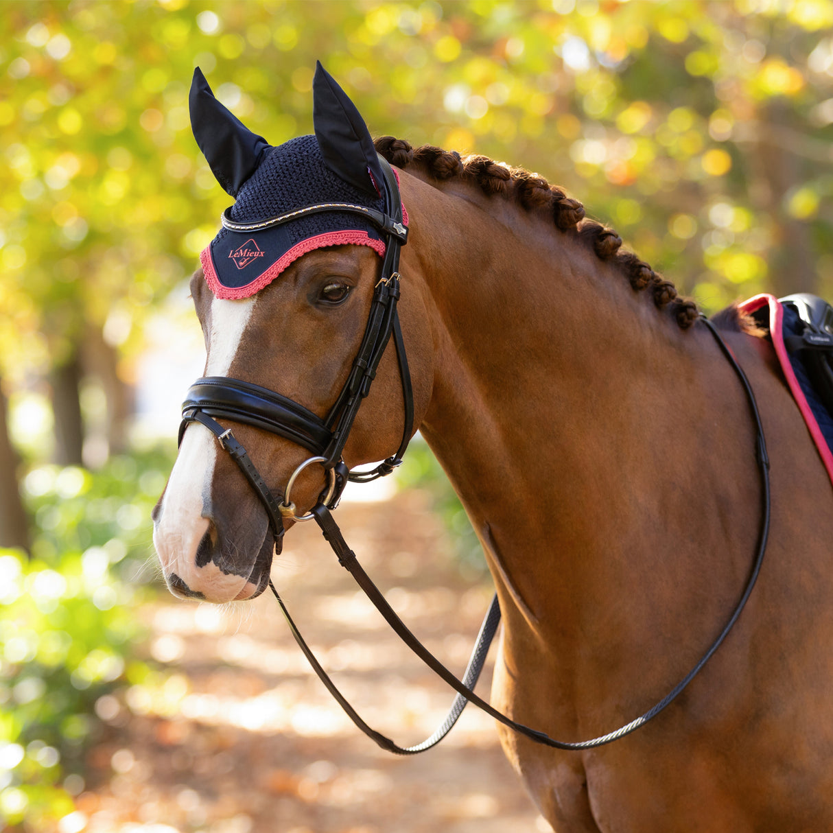 LeMieux Classic Fly Veil