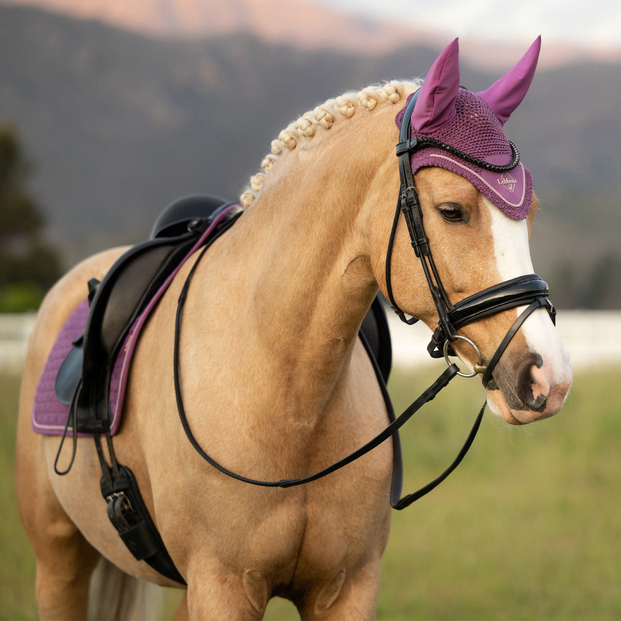 LeMieux Classic Fly Veil